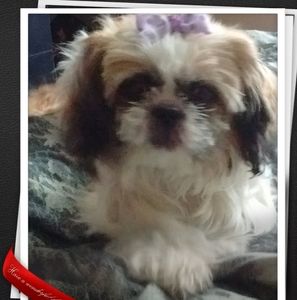 Meet your Posher, Keri